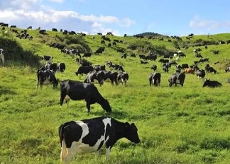 Jeopatik Stres Nedir?